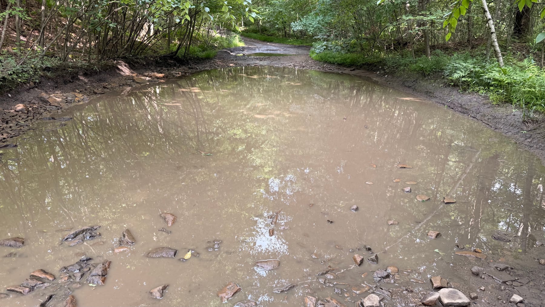 Saturday's route lived up to the name: standing water, loose rock, and no clean line through.