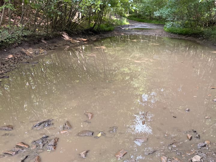 Saturday's route lived up to the name: standing water, loose rock, and no clean line through.
